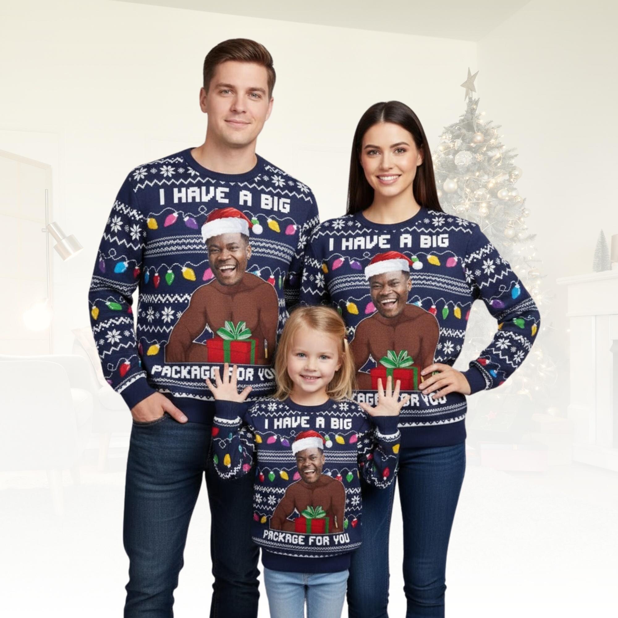 Personalized Christmas Ugly Sweater, I Have A Big Package For You Sweater, Funny Matching Winter Outfit, Cute Christmas Gift
